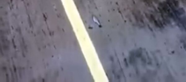 Мексикада балык аралаш жаан жаады. Видео - Sputnik Кыргызстан