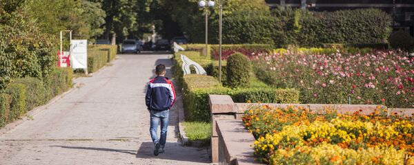 Погода в Бишкеке - Sputnik Кыргызстан