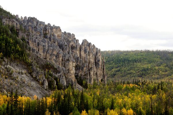 Национальный природный парк Ленские столбы в Якутии - Sputnik Кыргызстан