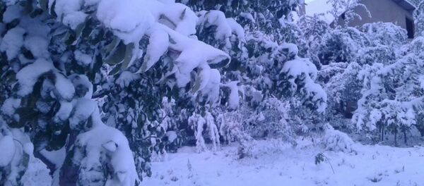 Первый снег в Кыргызстане Первый снег в Кыргызстане - Sputnik Кыргызстан