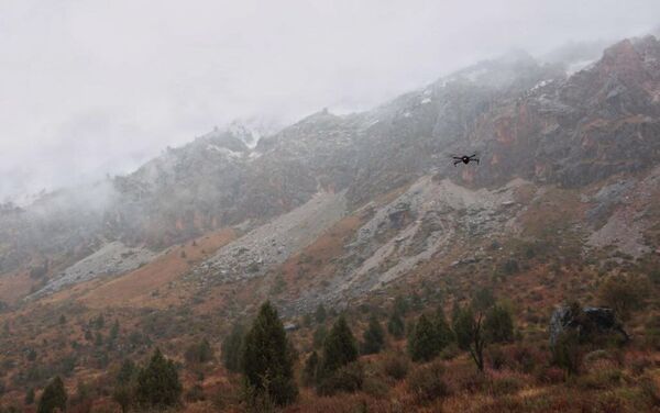 Команда одного из российских экспедиционных центров рассказала о поисках в горах Кыргызстана пропавшей туристки из Израиля Хиллы Ливне - Sputnik Кыргызстан