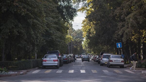 Автомобили припаркованные на обочине одной из улиц Бишкека. Архивное фото - Sputnik Кыргызстан