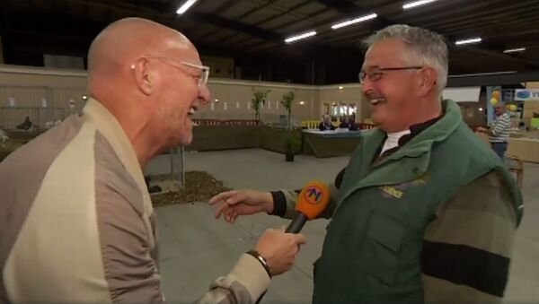 Фермер смеется так же, как кудахчут его куры, — видео из Голландии - Sputnik Кыргызстан