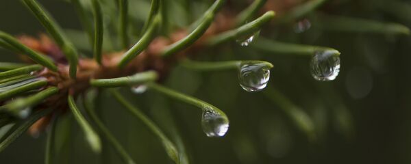 Погода в Бишкеке - Sputnik Кыргызстан