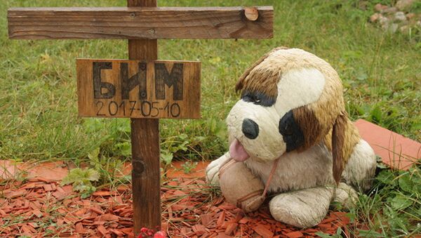 Специальное кладбище для животных в Вильнюсе - Sputnik Кыргызстан