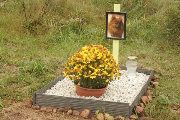 Специальное кладбище для животных в Вильнюсе - Sputnik Кыргызстан