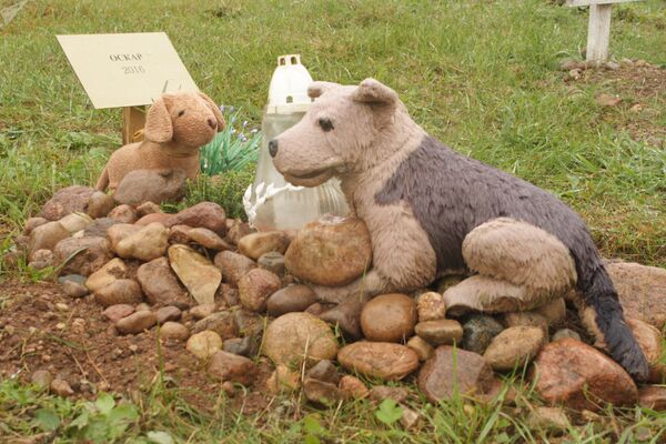 Специальное кладбище для животных в Вильнюсе - Sputnik Кыргызстан