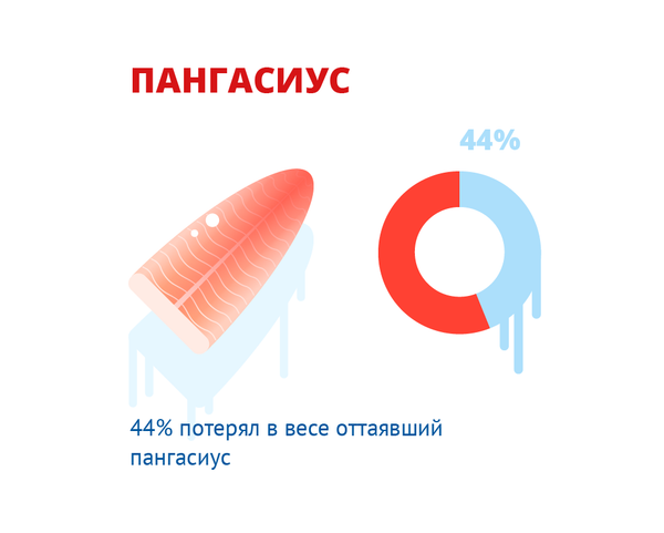 44% потерял в весе оттаявший �пангасиус 44% потерял в весе оттаявший �пангасиус - Sputnik Кыргызстан