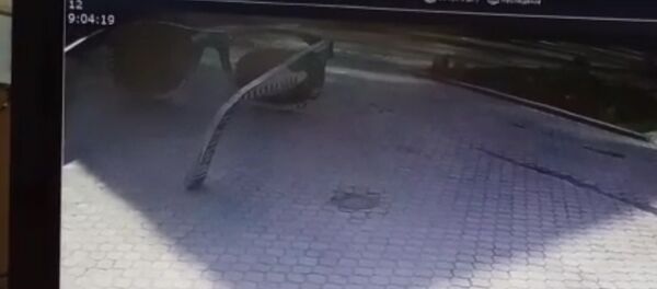 Жаштар аллеясындагы көз айнек кантип сынып жатканы видеого түшүп калган - Sputnik Кыргызстан