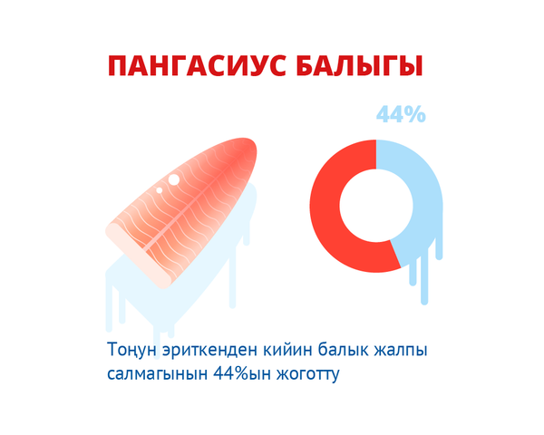 Тоңун эриткенден кийин балык жалпы салмагынын 44%ын жоготту - Sputnik Кыргызстан