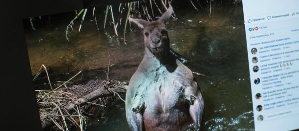 Снимок с социальной сети Facebook пользователя Jackson Kingsley Vincent Снимок с социальной сети Facebook пользователя Jackson Kingsley Vincent - Sputnik Кыргызстан