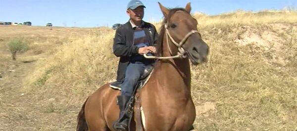 Саяпкер Сүйүнбек: жылан жеген Миллиончик аргымагымды баламдай эле бактым - Sputnik Кыргызстан