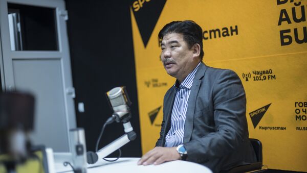 Мурунку Маданият, маалымат жана туризм министри Алтынбек Максутов. Архив - Sputnik Кыргызстан