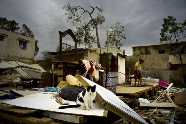Последствия урагана Мария в Сан-Хуане. Пуэрто-Рико - Sputnik Кыргызстан