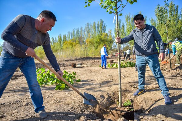 В Бишкеке открылась Аллея спортсменов, на ней уже высадили деревья - Sputnik Кыргызстан
