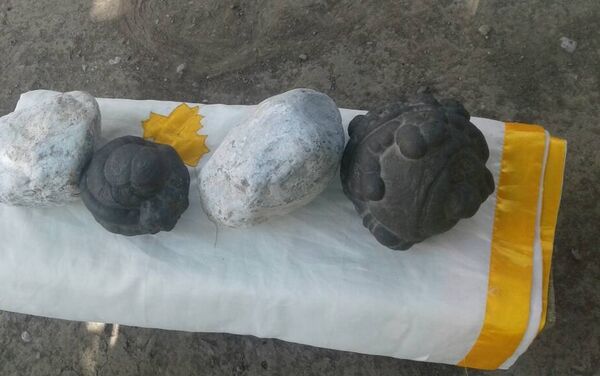 В Базар-Коргонском районе Джалал-Абадской области найдены необычные камни, которые проводят ток, но не притягивают магнит - Sputnik Кыргызстан