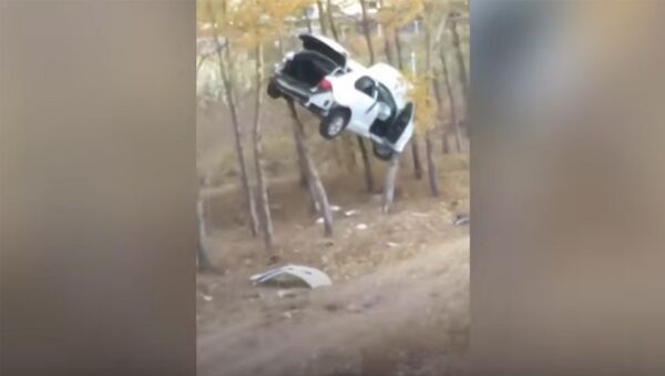 В Китае в результате ДТП автомобиль припарковался на дереве — видео - Sputnik Кыргызстан