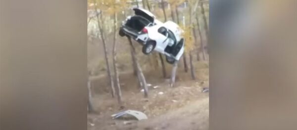В Китае в результате ДТП автомобиль припарковался на дереве — видео - Sputnik Кыргызстан