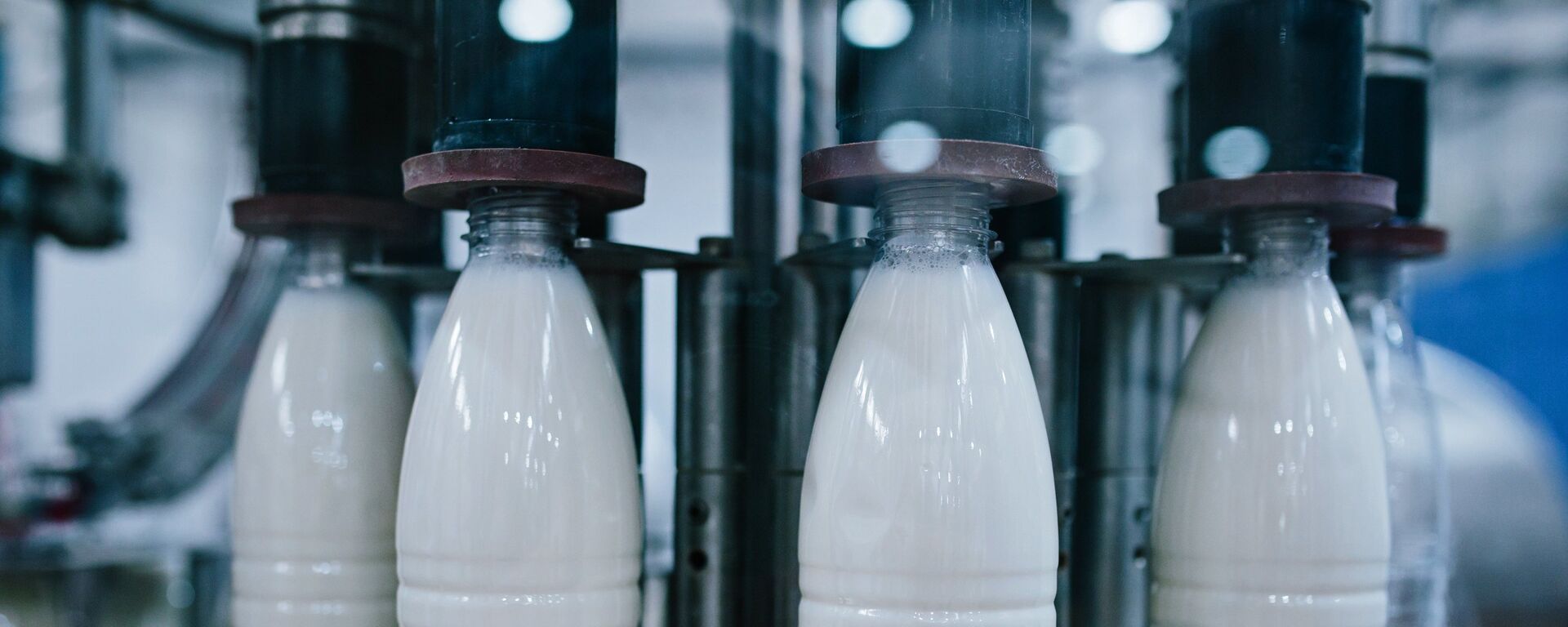 Производство молочных продуктов. Архивное фото - Sputnik Кыргызстан, 1920, 21.04.2023