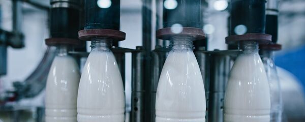 Производство молочных продуктов в Иванове - Sputnik Кыргызстан