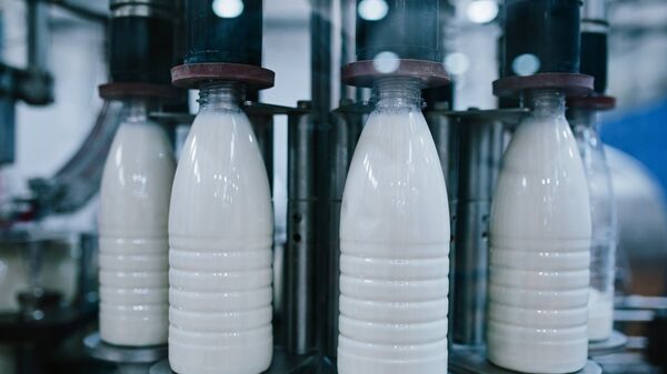 Производство молочных продуктов. Архивное фото - Sputnik Кыргызстан