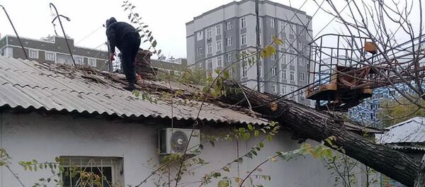 Последствия сильного ветра в Бишкеке - Sputnik Кыргызстан