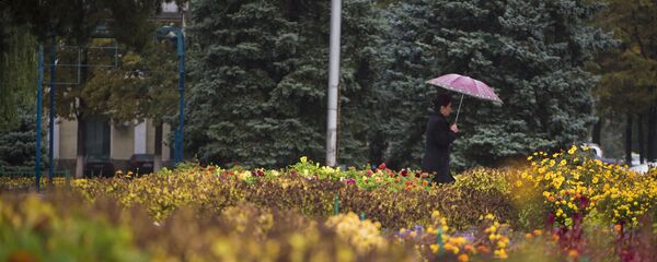 Осень в Бишкеке - Sputnik Кыргызстан