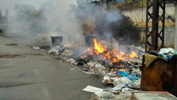 Сжигание мусора в Бишкеке. Архивное фото - Sputnik Кыргызстан