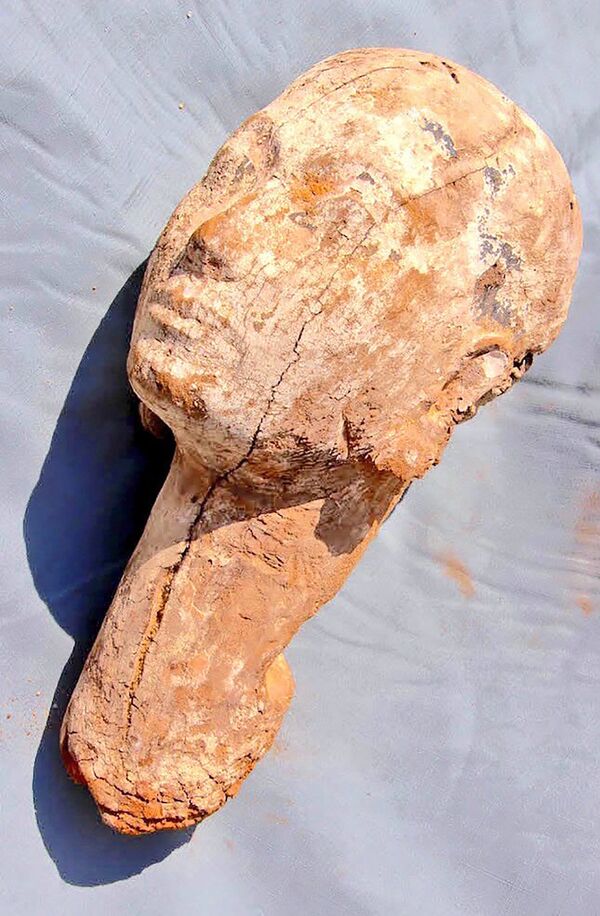 Голова статуи Анхнеспепи II - Sputnik Кыргызстан