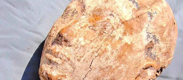 Голова статуи Анхнеспепи II - Sputnik Кыргызстан