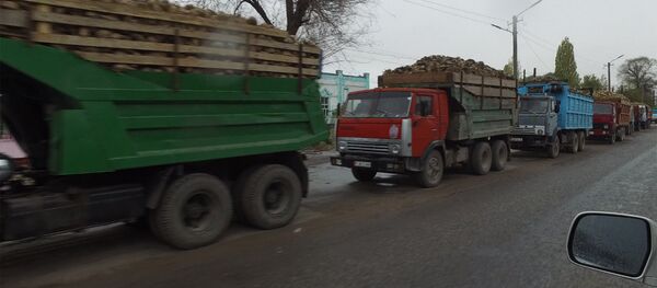 Кантта кызылча өткөрөм дегендер акыйып кезекте турат. Видео - Sputnik Кыргызстан