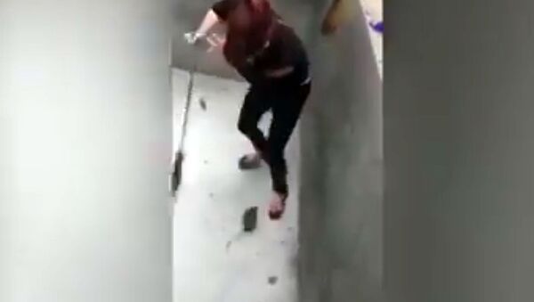 Крыса довела девушку с метлой до истерики — видео сражения из Вьетнама - Sputnik Кыргызстан