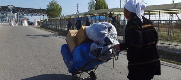 Чек арадан товар өткөрүп иштеген Индия апа: араба түртүп бутума турдум Чек арадан товар өткөрүп иштеген Индия апа: араба түртүп бутума турдум - Sputnik Кыргызстан