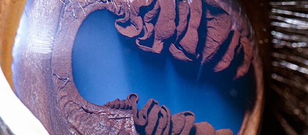 Серия снимков Твои прекрасные глаза фотографа Сурена Манвеляна - Sputnik Кыргызстан