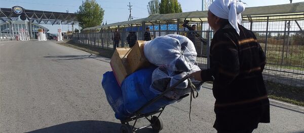 Живая легенда кыргызско-казахской границы — история Индии эже - Sputnik Кыргызстан