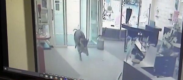 Германияда кеңседе отурган тургундарга жапайы камандар кол салды - Sputnik Кыргызстан