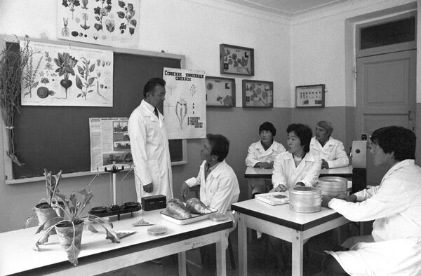 Студенты КСИ изучают строение корнеплода свеклы, 1986 год - Sputnik Кыргызстан
