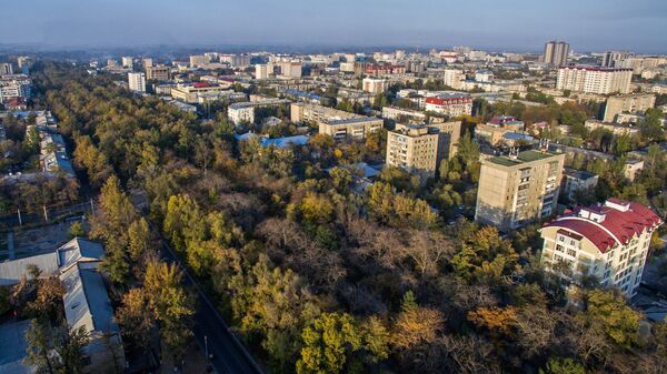 Вид на бульвар Молодой Гвардии в Бишкеке с высоты. Архивное фото - Sputnik Кыргызстан