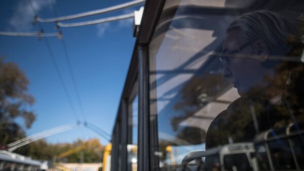 Пассажир в троллейбусе. Архивное фото - Sputnik Кыргызстан