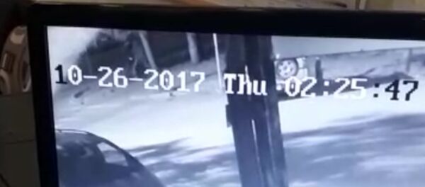 Бычакталып каза болгон милиционерге кол салган учур видеого түшүп калган - Sputnik Кыргызстан