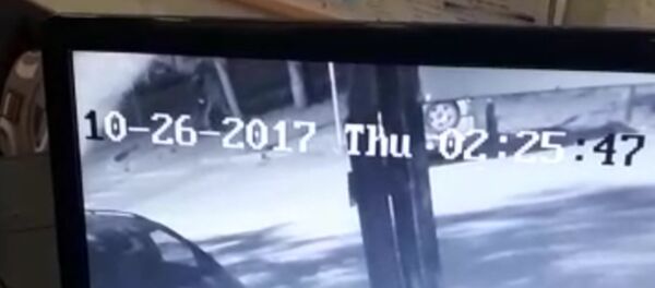 Момент убийства милиционера в Бишкеке сняла камера наблюдения - Sputnik Кыргызстан