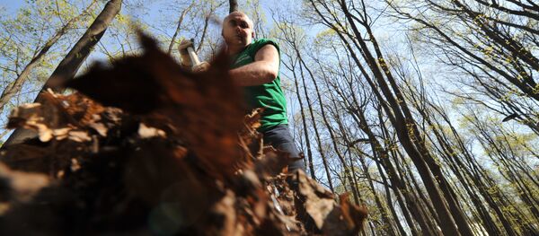 Второй медиасубботник в Нескучном саду Второй медиасубботник в Нескучном саду - Sputnik Кыргызстан