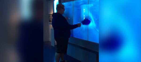 Разбившийся аквариум с акулой едва не довел мужчину до инфаркта — видео - Sputnik Кыргызстан