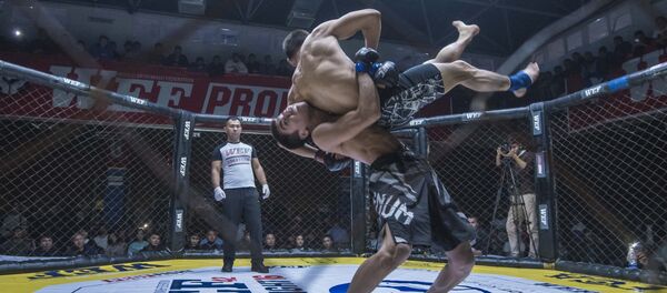 Турнир по кулатуу-эртаймаш по правилам смешанных единоборств WEF Selecion 7 - Sputnik Кыргызстан