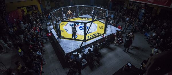 Турнир по кулатуу-эртаймашу по правилам смешанных единоборств WEF Selecion 7 - Sputnik Кыргызстан