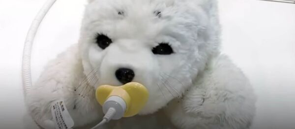 Они такие милые! Цифровые животные для одиноких людей — видео из Японии - Sputnik Кыргызстан