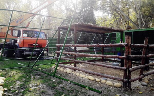 Снос незаконного зоопарка в парке имени Навои в Оше - Sputnik Кыргызстан