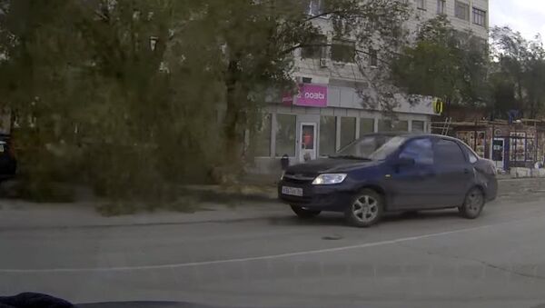 Фантастическое везение — водитель выехал с парковки за миг до падения дерева - Sputnik Кыргызстан