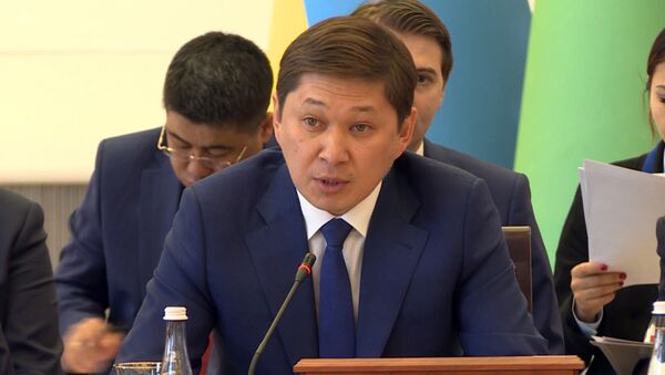 Что сказали друг другу премьеры Кыргызстана и Казахстана — видео - Sputnik Кыргызстан