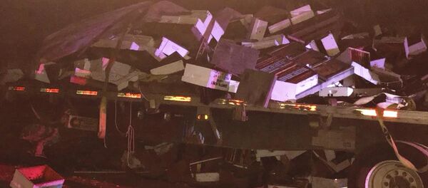 ДТП с грузовиком, перевозивший пчел в США ДТП с грузовиком, перевозивший пчел в США - Sputnik Кыргызстан